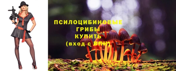 прущие крисы Михайлов