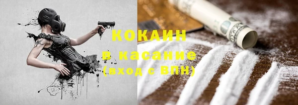 шишки Михайловка