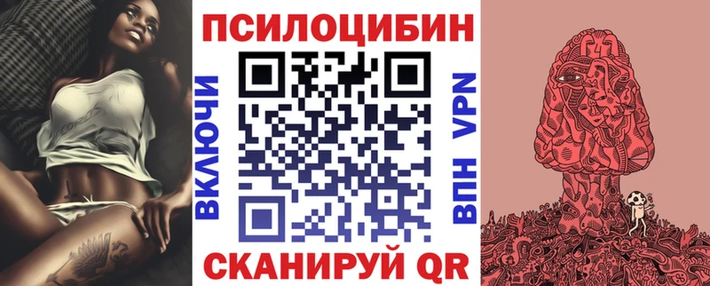 Купить где Чекалин Галлюциногенные грибы Psilocybine cubensis